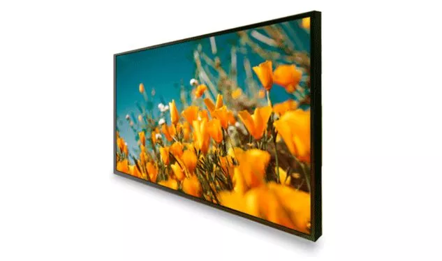 High Brightness Displays